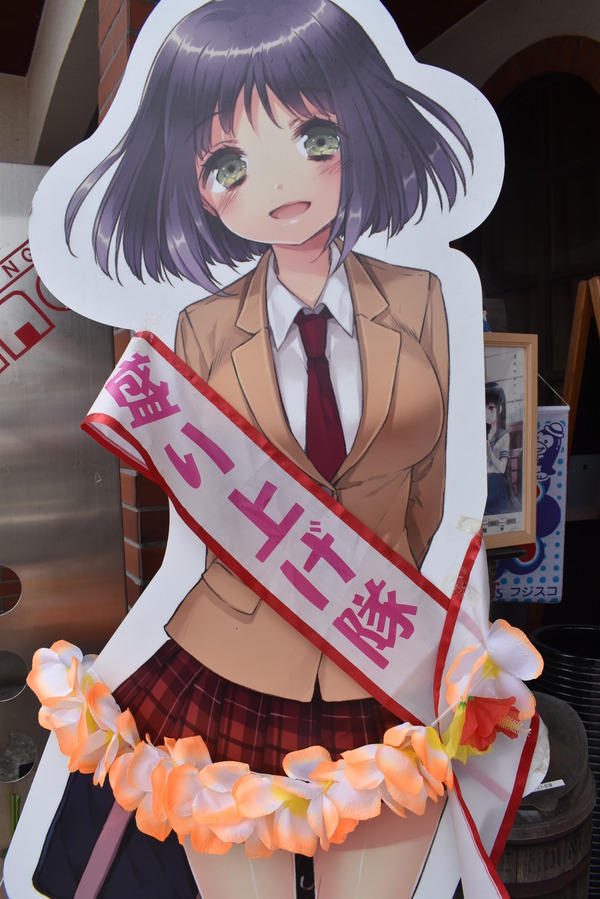 ダイアナさん (3)