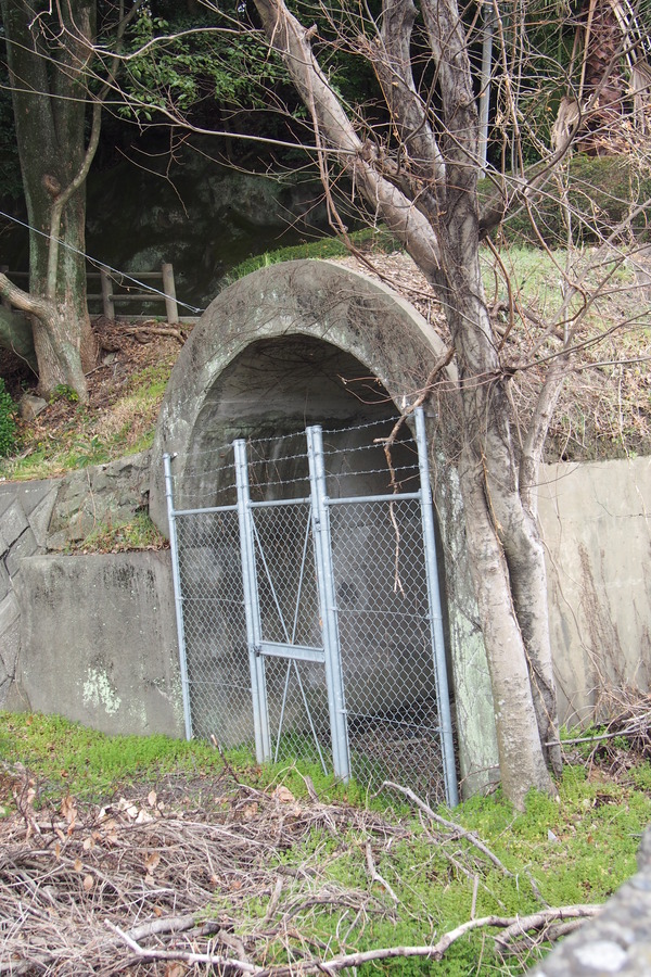 佐伯湾泊地 (34)
