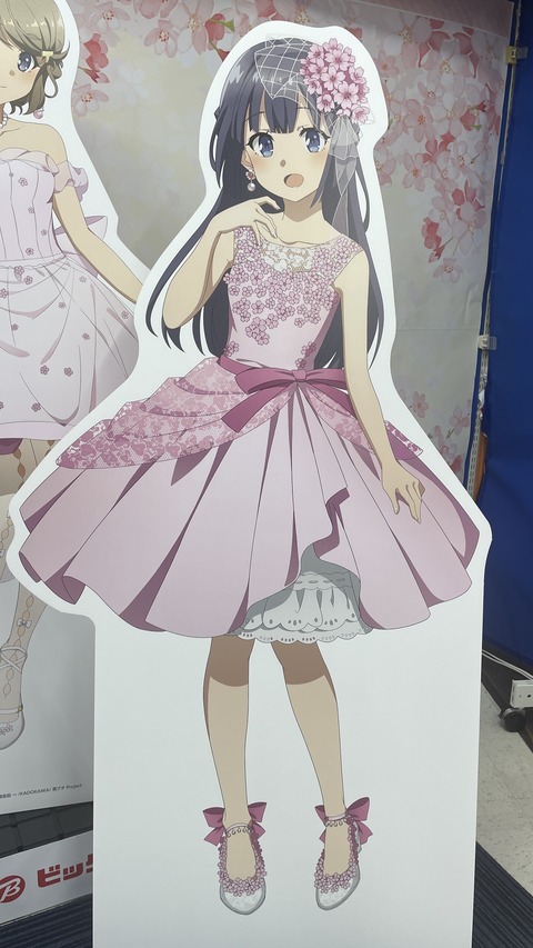 �ӥå�������ĥ֥������ (13)