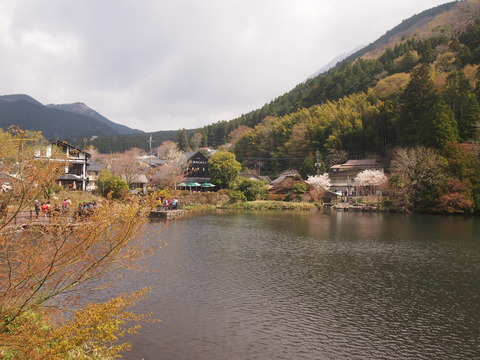 06919a11.jpg