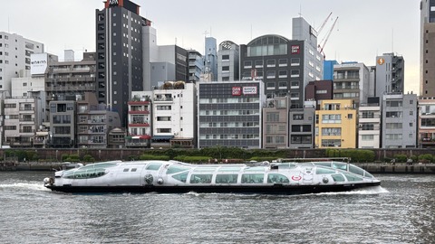 ������ܲ���������� (131)