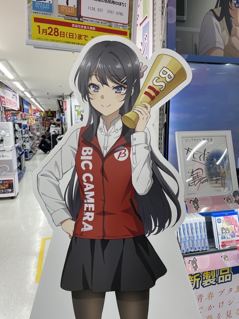 ���ĥ֥��˥��ɥ��륬����ƣ�� (28)