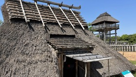 IMG_276480_