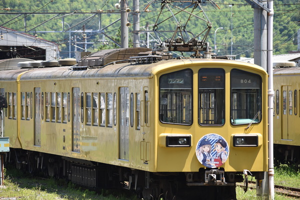 近江鉄道伊豆箱根鉄道コラボHM (11)