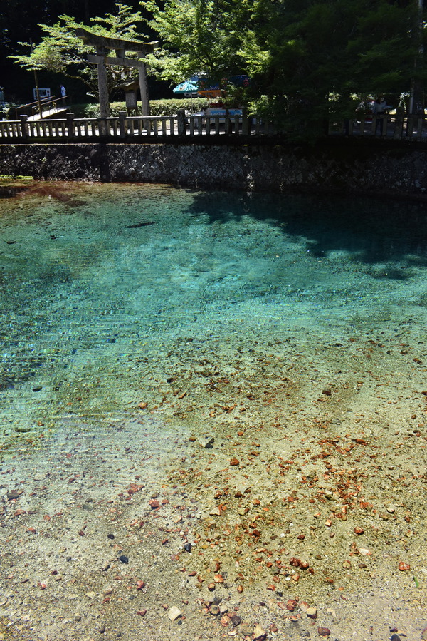 �Ƥ���ŷ�� (4)