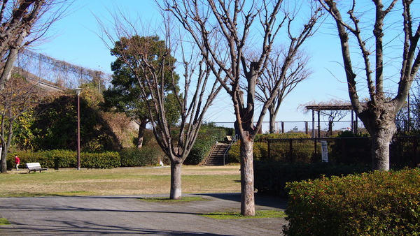 横須賀護衛艦WC編 (37)