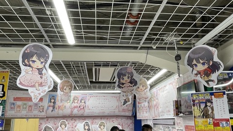 �ӥå�������ĥ֥������ (2)