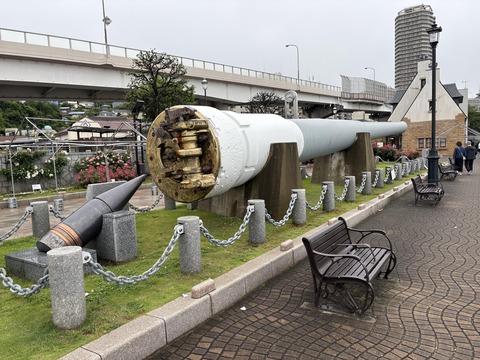 ���β��ܲ컶�� (13)