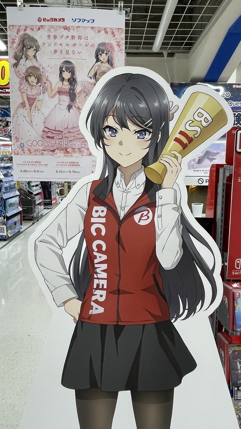 �ӥå�������ĥ֥������ (1)