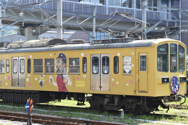 近江鉄道伊豆箱根鉄道コラボHM (15)