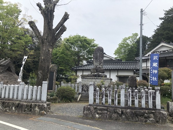 宮本武蔵 (19)