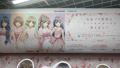 �ӥå�������ĥ֥������ (15)