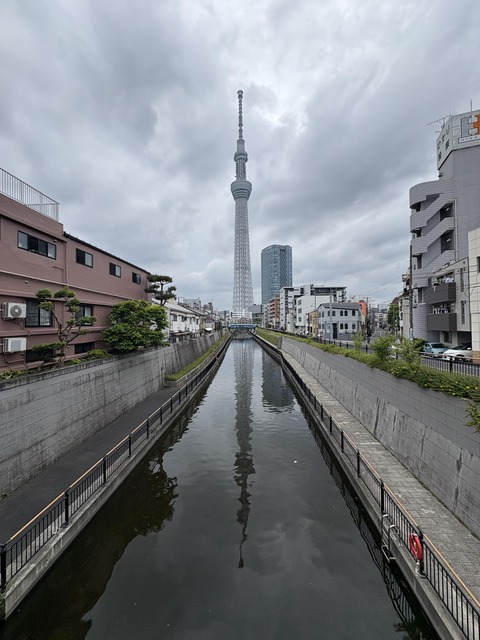 ������ܲ���������� (65)