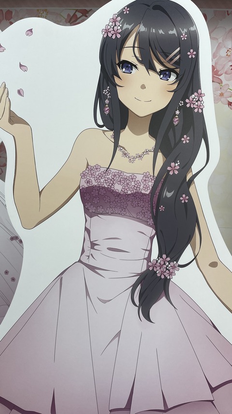 �ӥå�������ĥ֥������ (9)