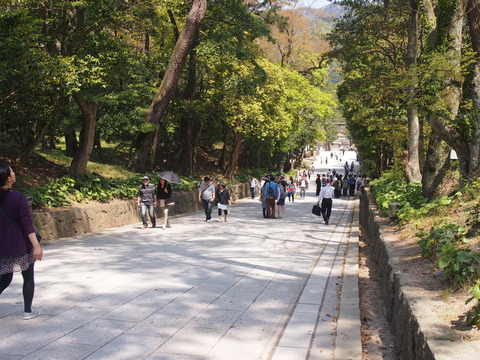 出雲大社いなこん聖地巡礼 (16)