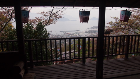 竹原桜1 (8)