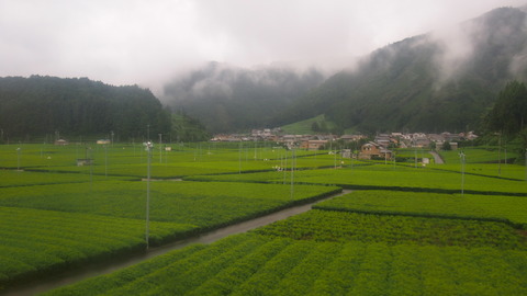 大井川鉄道 (91)