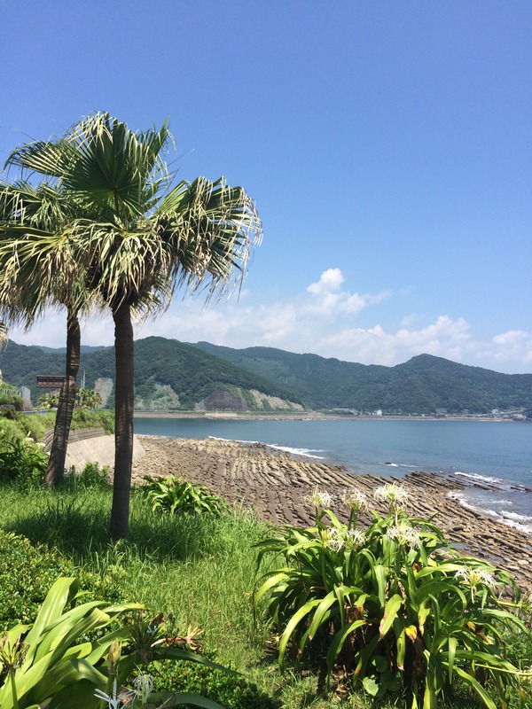 南九州遠征2016夏 (3)