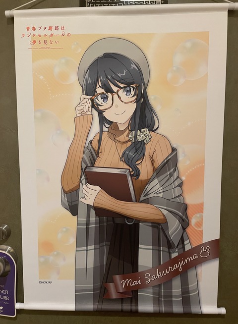 ���ĥ֥��˥��ɥ��륬����ƣ�� (72)