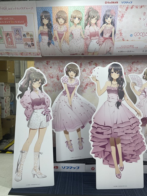 �ӥå�������ĥ֥������ (29)