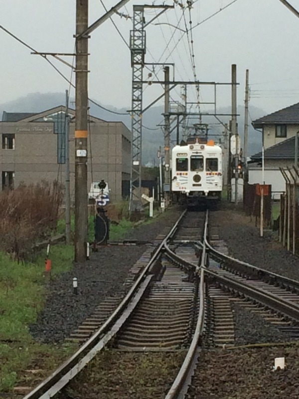 春の鉄道むすめ巡り和歌山電鐵編 (14)