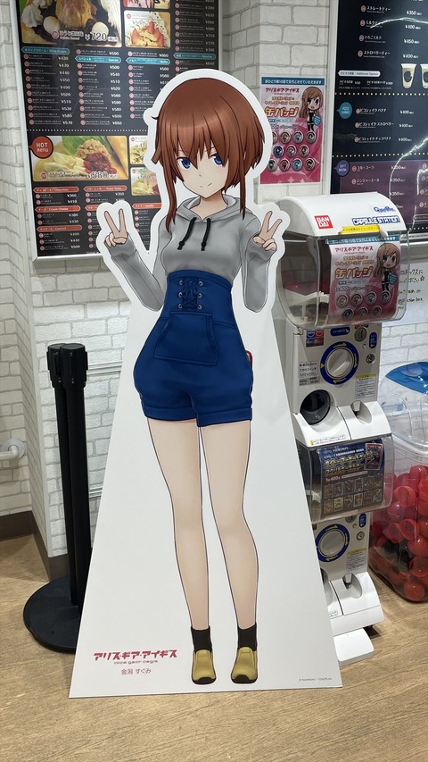 秋葉原 (2)_