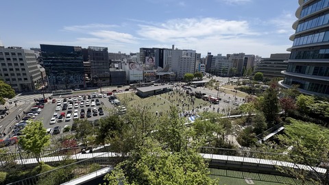 IMG_6908