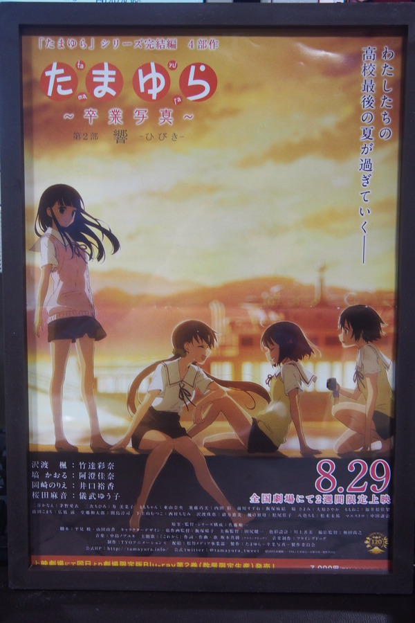 たまゆら芽2回目 (12)