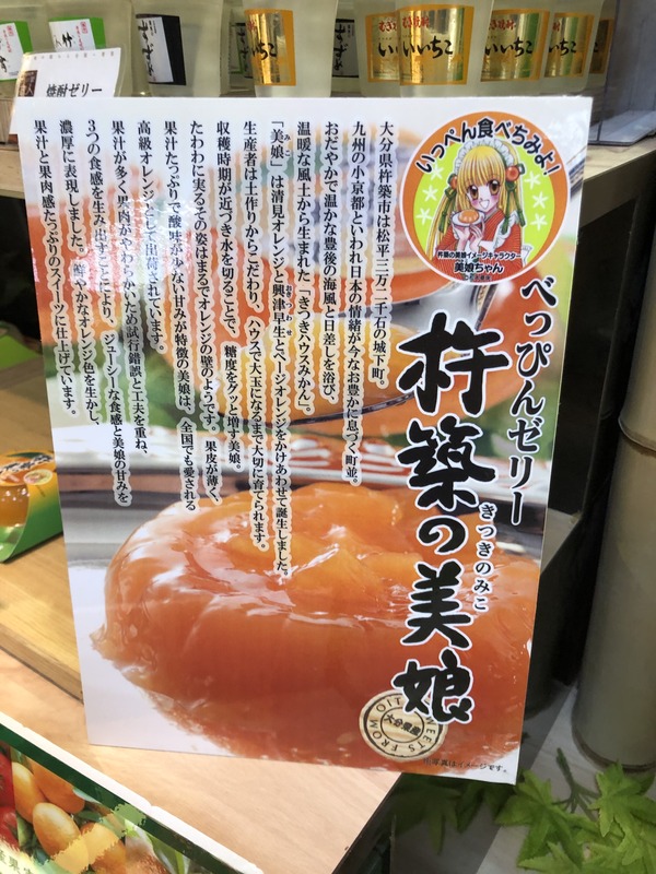 杵築の美姫 (8)
