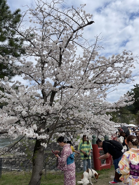 宇治 (5)
