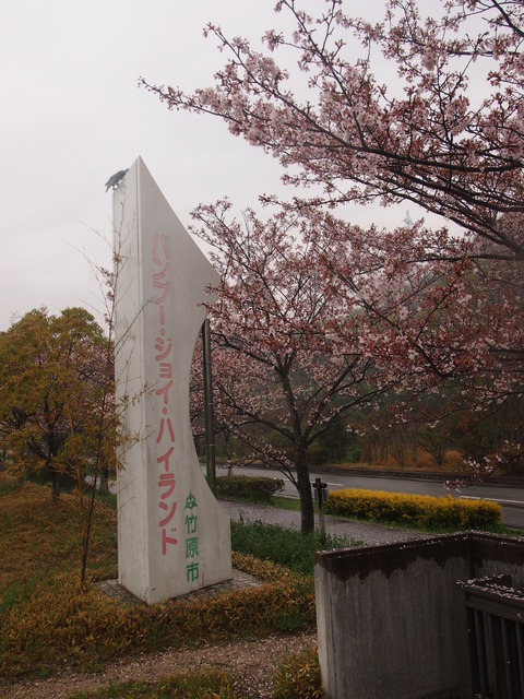 竹原桜1 (33)