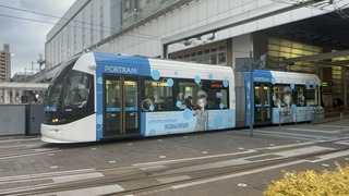 IMG_2584