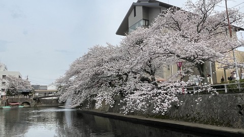 大垣 (17)