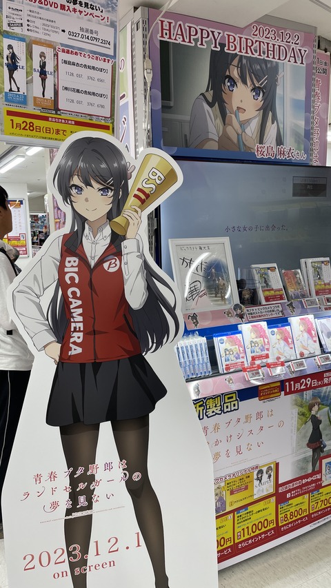 ���ĥ֥��˥��ɥ��륬����ƣ�� (29)