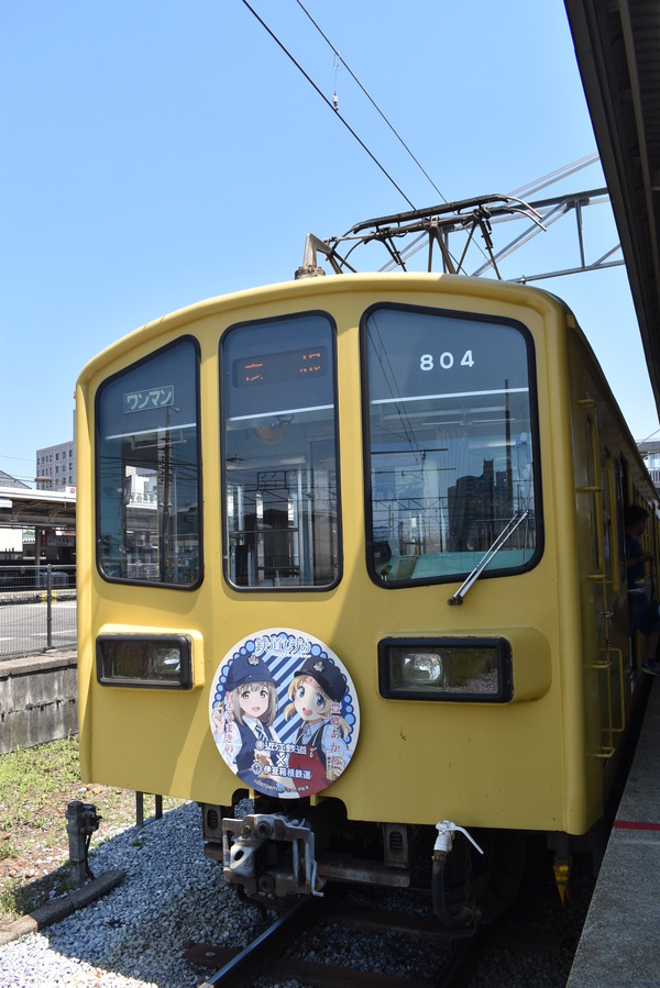 近江鉄道伊豆箱根鉄道コラボHM (16)