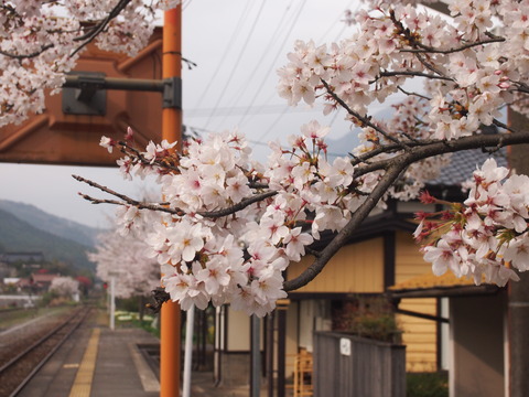 1f243352.jpg