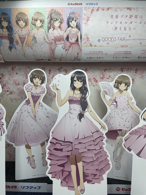 �ӥå�������ĥ֥������ (30)