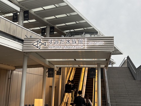 ������ܲ���������� (152)