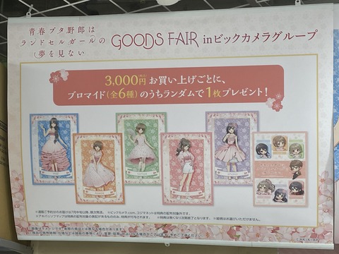 �ӥå�������ĥ֥������ (17)