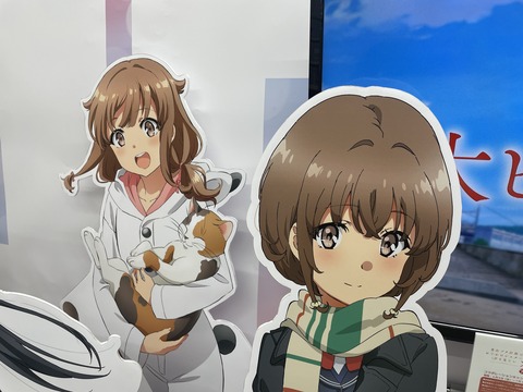 �ĥ֥�Ÿ��ŷ������³�� (13)