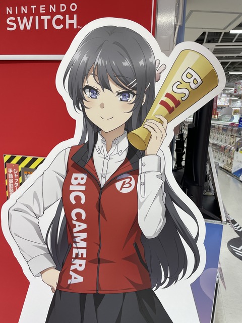 ���ĥ֥��˥��ɥ��륬����ƣ�� (42)