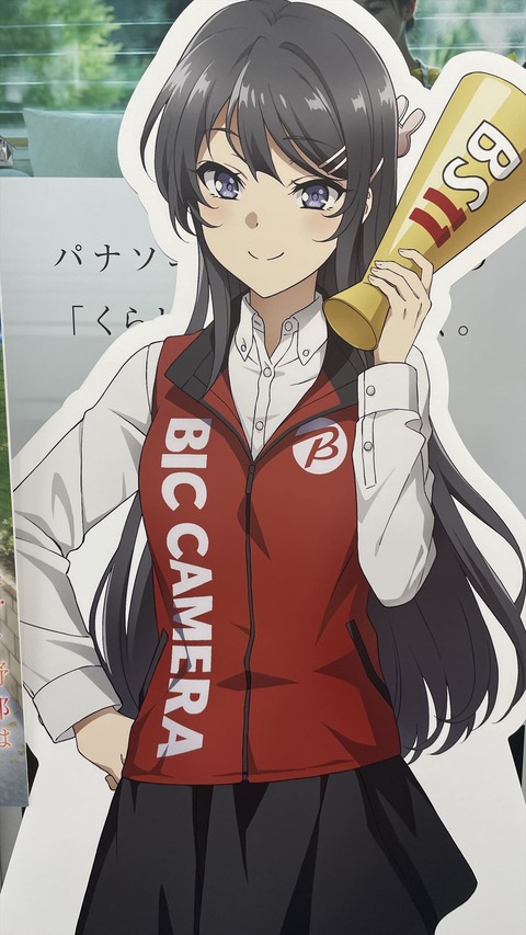 �ӥå���ŷ������ᤵ�� (13)_