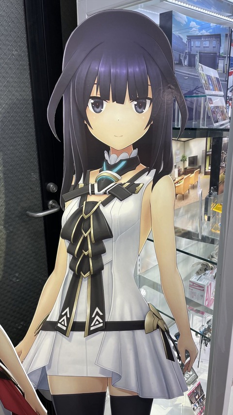 コトブキヤ秋葉原 (5)_