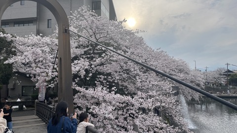 大垣 (19)