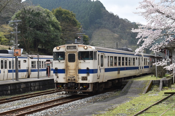 29da8342.jpg