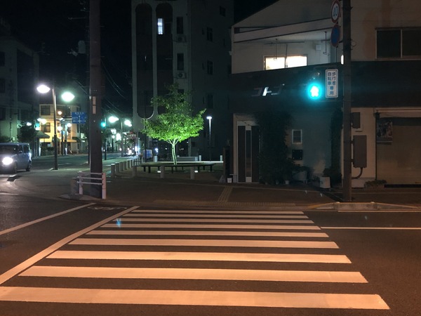 そして観音寺へ (29)