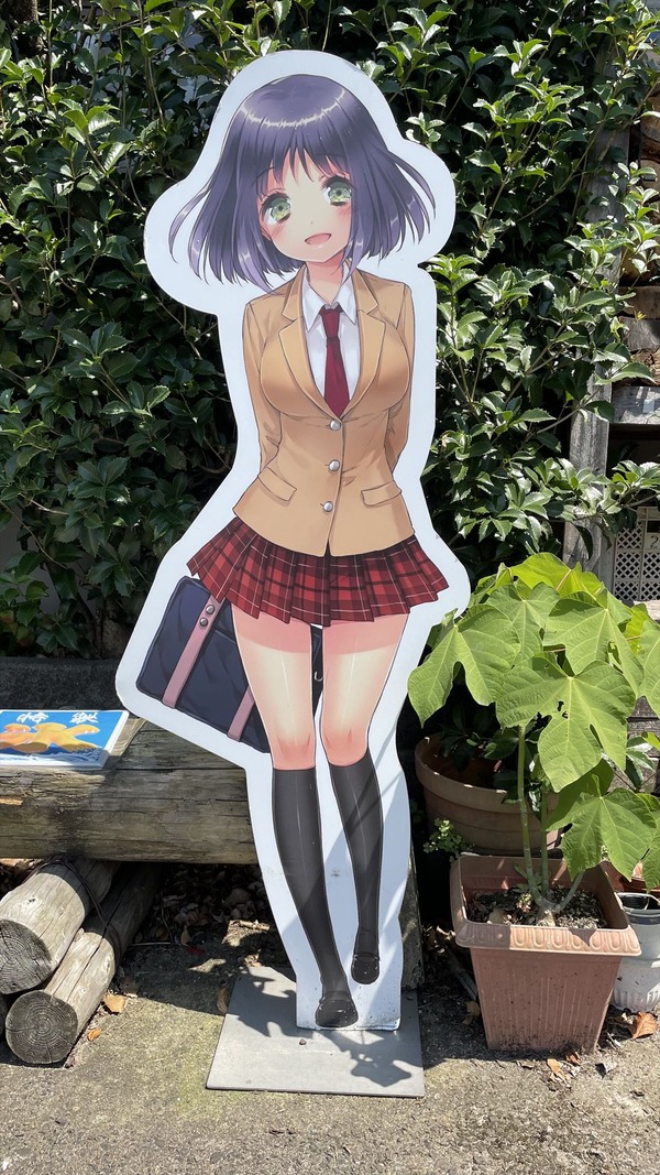 �������ʤ��뿩�� (2)_