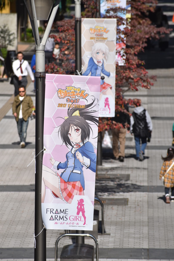 FAガールあにきゃんフラッグ (27)