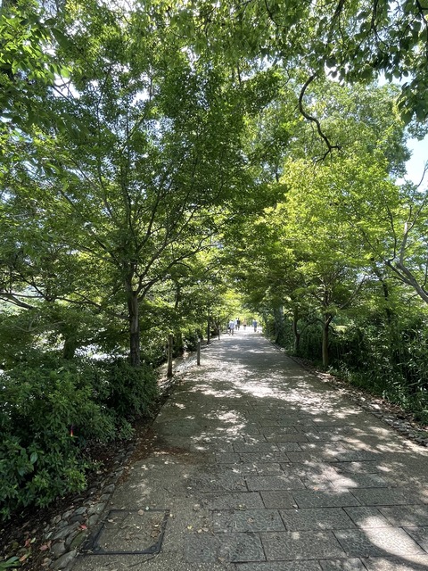 宇治散策 (9)