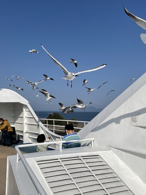 �縶Ŵƻ�ǹԤ���������󥢥�����ι (37)_